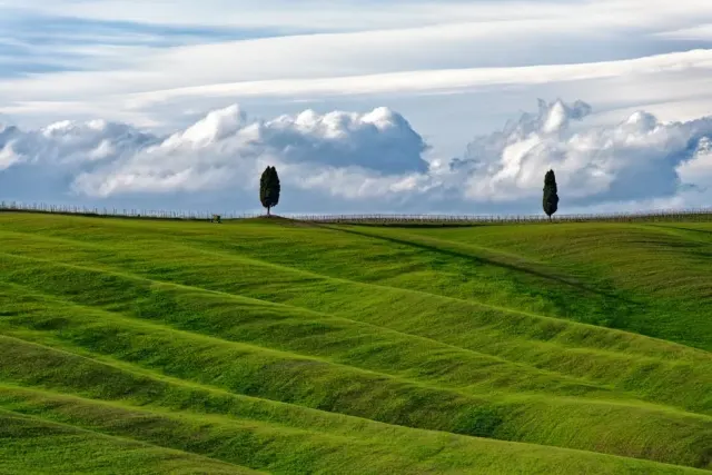 Campiglia Marittima: cosa vedere tra cosa vedere