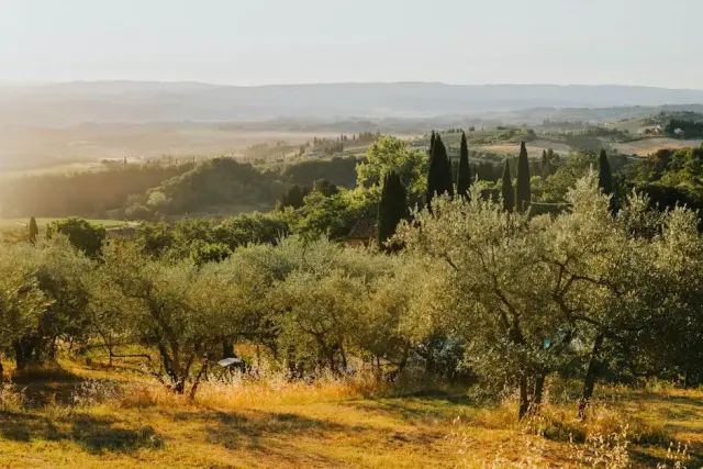 Cosa vedere a Castagneto Carducci: guida pratica