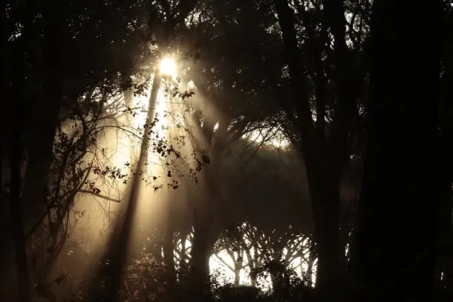 cosa vedere a Cecina - Le cosa vedere più belle di Cecina
