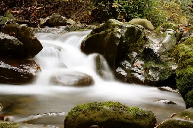 Cosa vedere a Grosseto: guida pratica