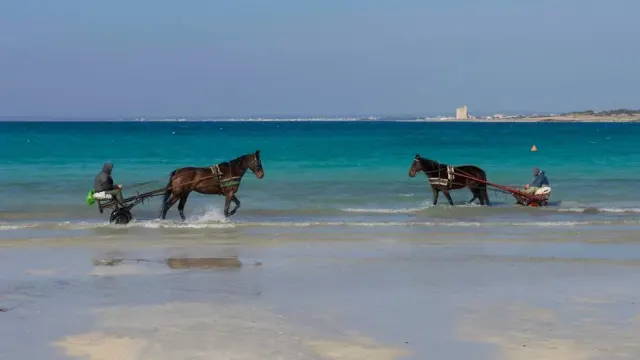 mare cristallino Forte dei Marmi - Mare cristallino a Forte dei Marmi: un paradiso da esplorare