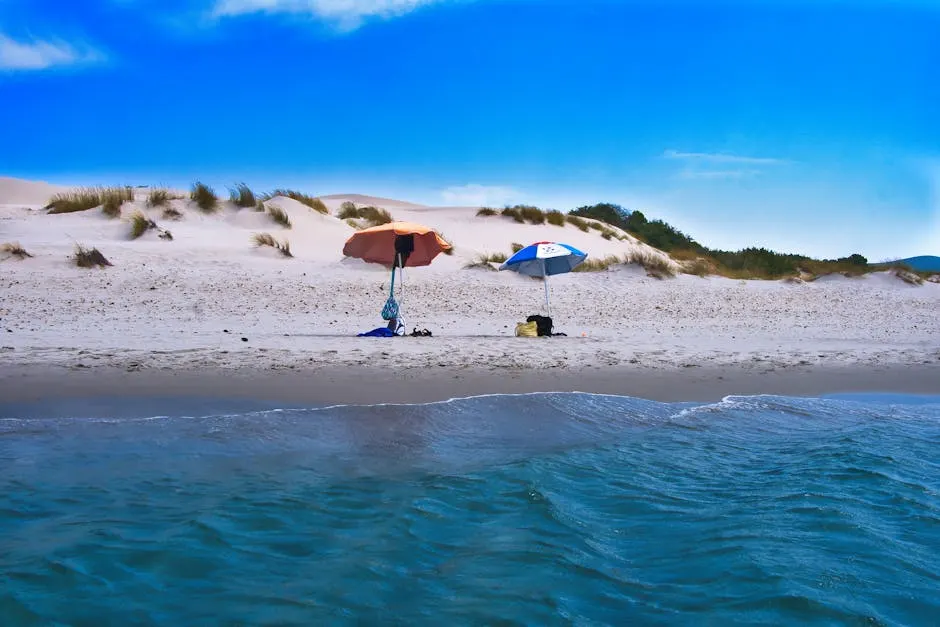 Ristorazione: un viaggio nei sapori locali