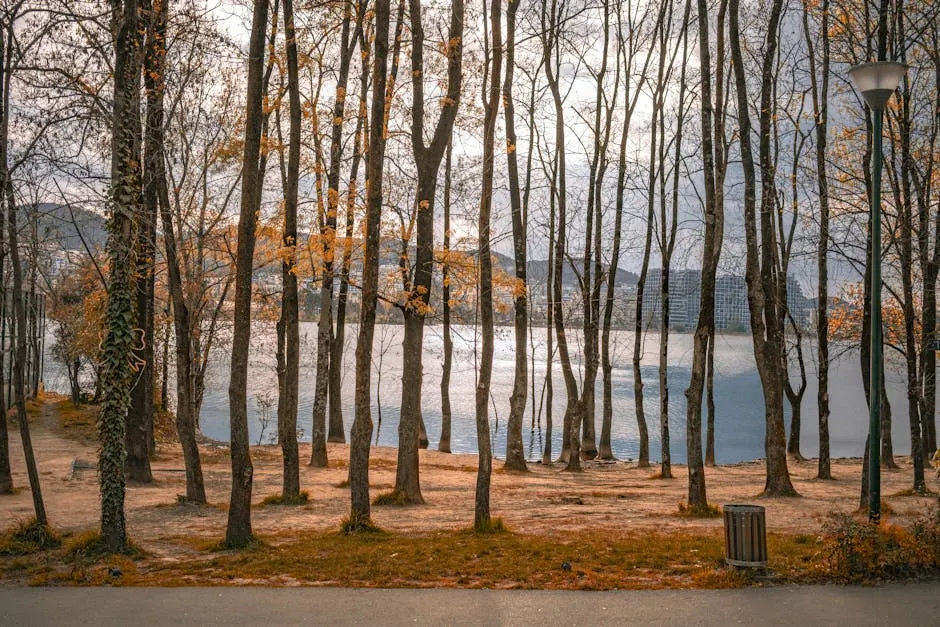 Tempi e orari: cosa sapere