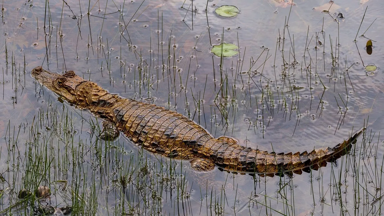 Consigli pratici per una giornata al mare